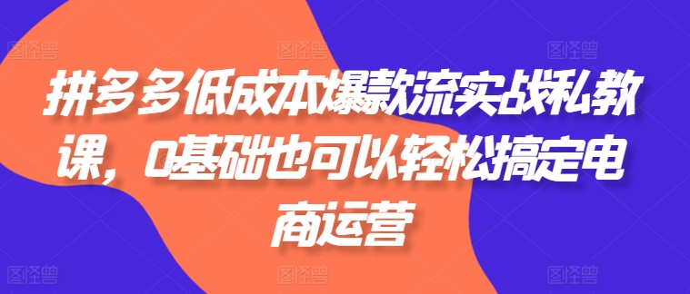 拼多多低成本爆款流实战私教课，0基础也可以轻松搞定电商运营-风淘社
