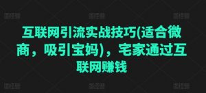 互联网引流实战技巧(适合微商,吸引宝妈),宅家通过互联网赚钱-风淘社