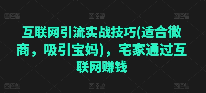 互联网引流实战技巧(适合微商,吸引宝妈),宅家通过互联网赚钱-风淘社