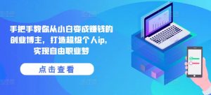 手把手教你从小白变成赚钱的创业博主,打造超级个人ip,实现自由职业梦-风淘社
