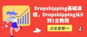 Dropshipping基础课程，Dropshipping从0到1全教程-风淘社