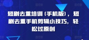 短剧去重培训(手机版)，短剧去重手机剪辑小技巧，轻松过原创-风淘社