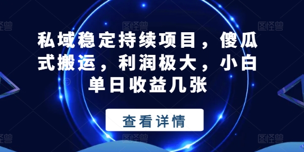 私域稳定持续项目，傻瓜式搬运，利润极大，小白单日收益几张【揭秘】-风淘社