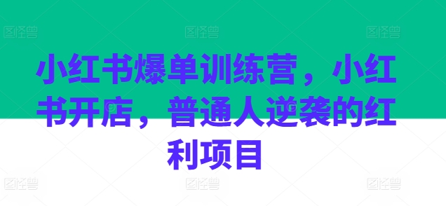 小红书爆单训练营,小红书开店,普通人逆袭的红利项目-风淘社