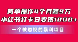 简单操作4个月赚9w,小红书打卡日变现1k,一个被忽视的暴力项目【揭秘】-风淘社