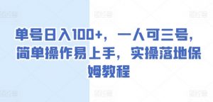 单号日入100+，一人可三号，简单操作易上手，实操落地保姆教程【揭秘】-风淘社