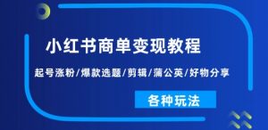 小红书商单变现教程:起号涨粉/爆款选题/剪辑/蒲公英/好物分享/各种玩法-风淘社