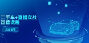 二手车+直播实战运营课程:直播推荐/短视频推荐/千川投放/直播全流程-风淘社