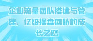 企业流量团队搭建与管理,亿级操盘团队的成长之路-风淘社