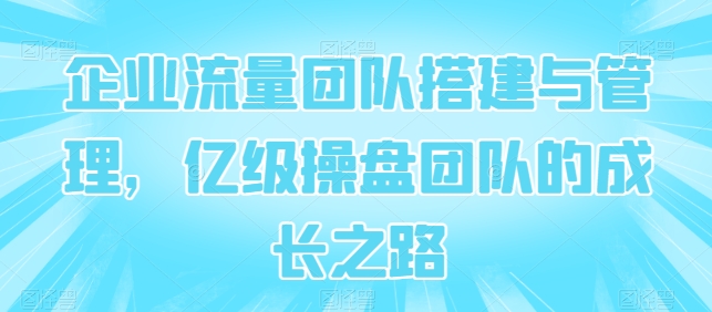 企业流量团队搭建与管理,亿级操盘团队的成长之路-风淘社