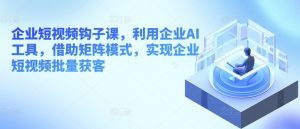 企业短视频钩子课,利用企业AI工具,借助矩阵模式,实现企业短视频批量获客-风淘社