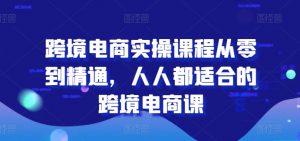 跨境电商实操课程从零到精通，人人都适合的跨境电商课-风淘社