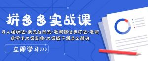 拼多多实战课:万人团玩法/截流自然流/最新强付费打法/最新原价卡大促..-风淘社