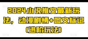 2024小说推文最新玩法，动漫剧情+图文标记(进阶玩法)-风淘社