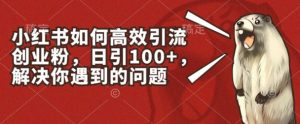 小红书如何高效引流创业粉,日引100+,解决你遇到的问题【揭秘】-风淘社