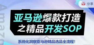 【训练营】亚马逊爆款打造之精品开发SOP，系统化洞察亚马逊精品选品全流程-风淘社