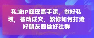 私域IP变现高手课,做好私域,被动成交,教你如何打造好朋友圈做好社群-风淘社