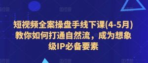 短视频全案操盘手线下课(4-5月)教你如何打通自然流,成为想象级IP必备要素-风淘社