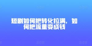 短剧如何把转化拉满，如何把流量变成钱-风淘社