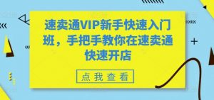 速卖通VIP新手快速入门班,手把手教你在速卖通快速开店-风淘社