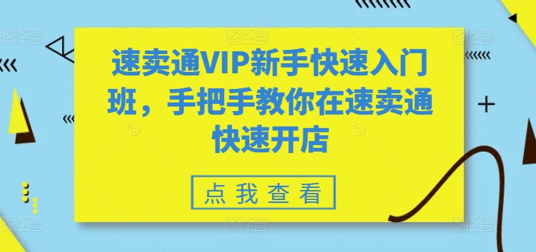 速卖通VIP新手快速入门班,手把手教你在速卖通快速开店-风淘社