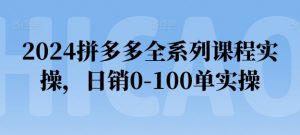 2024拼多多全系列课程实操，日销0-100单实操【必看】-风淘社