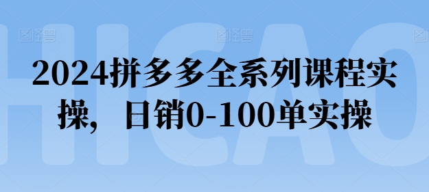 2024拼多多全系列课程实操,日销0-100单实操【必看】-风淘社