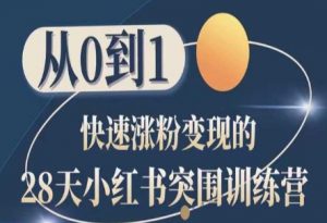 28天小红书突围训练营，从0到1快速涨粉变现-风淘社