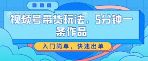 视频号带货玩法,5分钟一条作品,入门简单,快速出单【揭秘】-风淘社