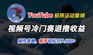 视频号冷门赛道撸收益，YouTube搬运极限运动集锦，暴力起号，操作简单流量高，轻松日入5张【揭秘】-风淘社