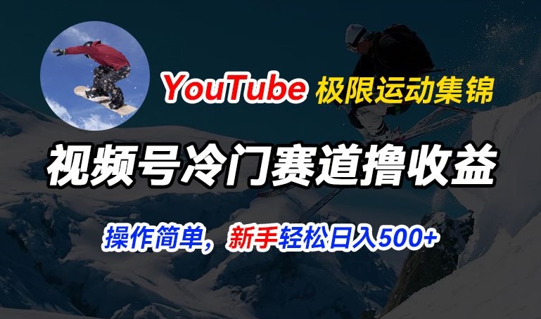 视频号冷门赛道撸收益，YouTube搬运极限运动集锦，暴力起号，操作简单流量高，轻松日入5张【揭秘】-风淘社