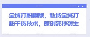 全域打粉模版,私域全域打粉干货技术,原创死抄袭生-风淘社