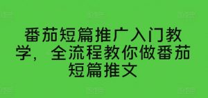 番茄短篇推广入门教学，全流程教你做番茄短篇推文-风淘社