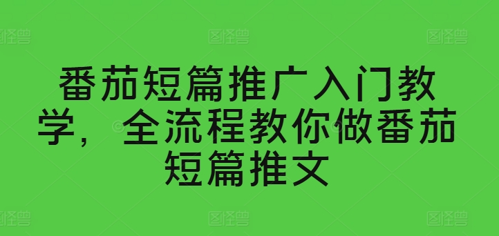 番茄短篇推广入门教学，全流程教你做番茄短篇推文-风淘社