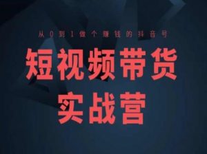 短视频带货实战营(高阶课),从0到1做个赚钱的抖音号-风淘社