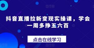 抖音直播拉新变现实操课，学会一周多挣五六百-风淘社