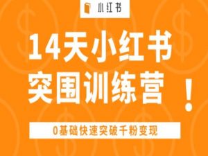 14天小红书突围训练营 ,0基础快速突破千粉变现-风淘社