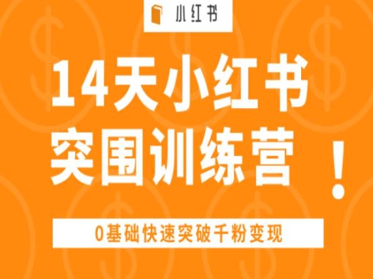 14天小红书突围训练营 ,0基础快速突破千粉变现-风淘社
