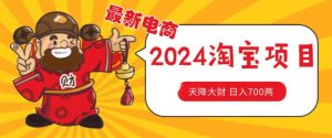价值1980更新2024淘宝无货源自然流量, 截流玩法之选品方法月入1.9个w【揭秘】-风淘社