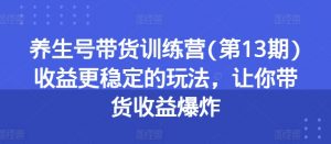 养生号带货训练营(第13期)收益更稳定的玩法,让你带货收益爆炸-风淘社