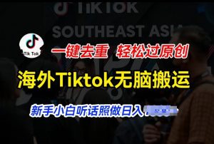海外Tiktok短视频无脑搬运，一键去重轻松过原创，新手小白听话照做日入几张【揭秘】-风淘社