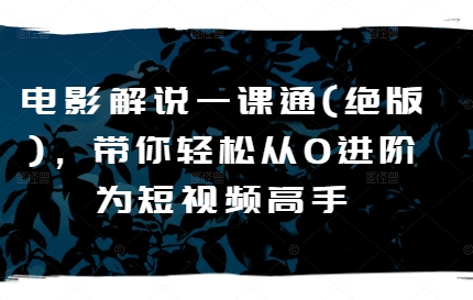 电影解说一课通(绝版),带你轻松从0进阶为短视频高手-风淘社