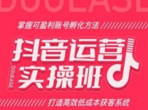 抖音运营实操班,掌握可盈利账号孵化方法,打造高效低成本获客系统-风淘社