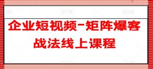 企业短视频-矩阵爆客战法线上课程-风淘社