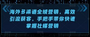 海外多渠道全域营销,高效引流获客,手把手带你快速掌握社媒营销-风淘社