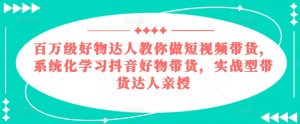 百万级好物达人教你做短视频带货,系统化学习抖音好物带货,实战型带货达人亲授-风淘社