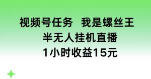 视频号任务,我是螺丝王, 半无人挂机1小时收益15元【揭秘】-风淘社