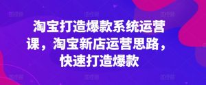 淘宝打造爆款系统运营课,淘宝新店运营思路,快速打造爆款-风淘社