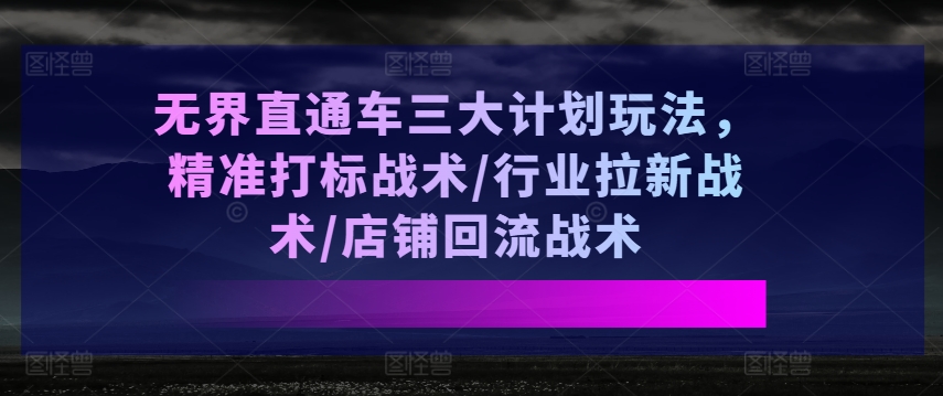 无界直通车三大计划玩法,精准打标战术/行业拉新战术/店铺回流战术-风淘社