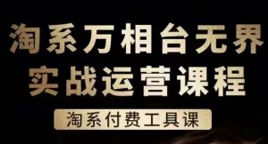 淘系万相台无界实战运营课,淘系付费工具课-风淘社